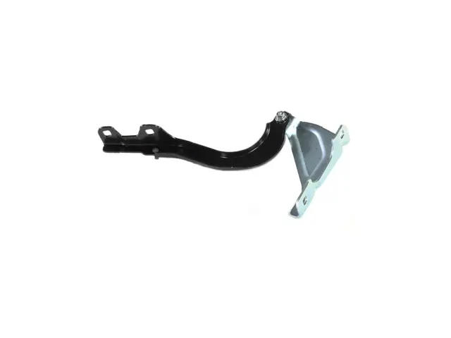Hinge - Passenger Side (RH) - Mopar (68290462AB) - view 10