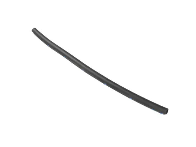Rear Door Sill Weatherstrip, Right - Mopar (68376856aa)