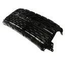 Radiator Grille - Mopar (68600052aa) - view 9
