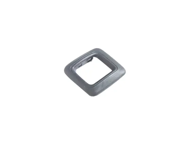 Latch Bezel - Driver's Side (LH) - Mopar (6CE27DX9AB)