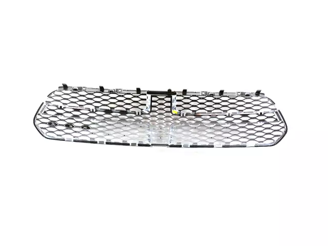 Texture Grille - Mopar (6ch69sz7aa)