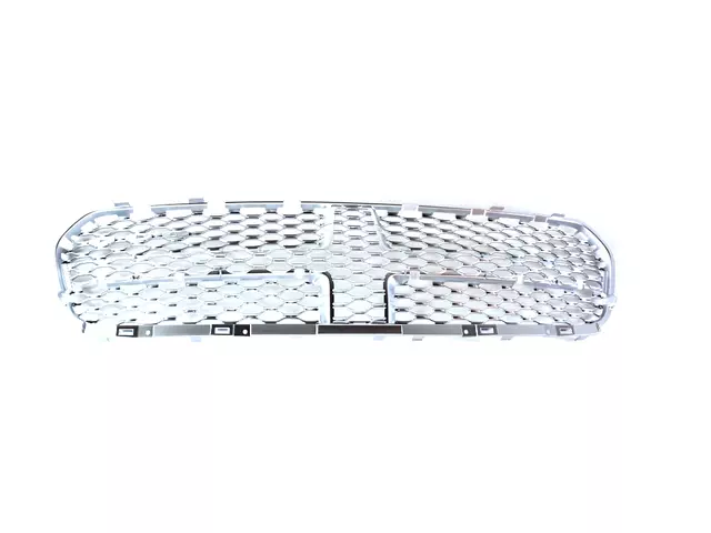 Texture Grille - Mopar (6ch69sz7aa) - view 6