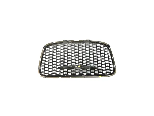 Radiator Grille - Mopar (6df46dx8ab) - view 17