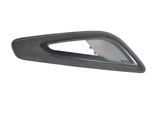 Front Door Trim Armrest, Left - Mopar (6eb79ysaaa) - view 8