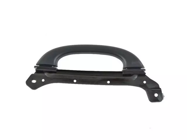 Grab Handle, Left - Mopar (6em33lc5aa) - view 3