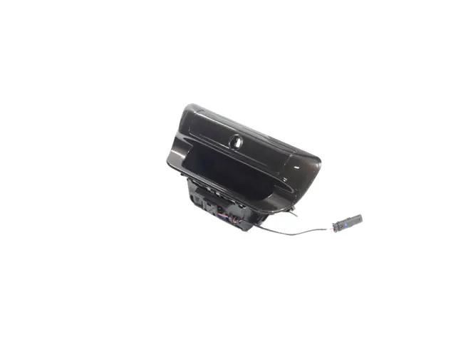 Tailgate Handle - Mopar (6rn76gtwaa) - view 2
