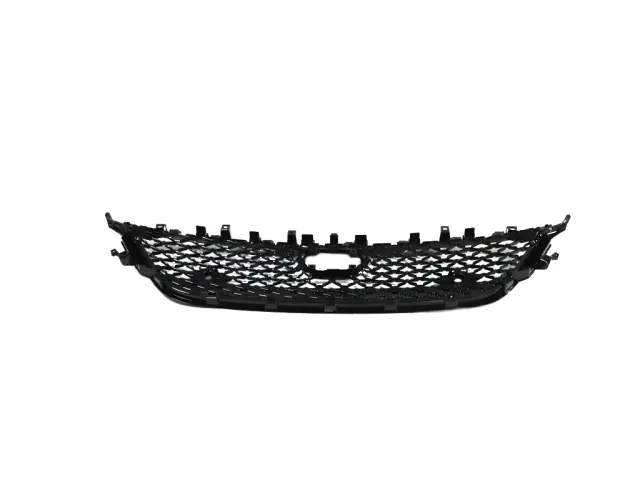 Lower Grille - Mopar (6wf66dx8ab) - view 5