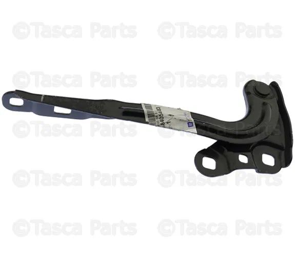 Hinge - Driver's Side (LH) - GM (84054683) - view 5