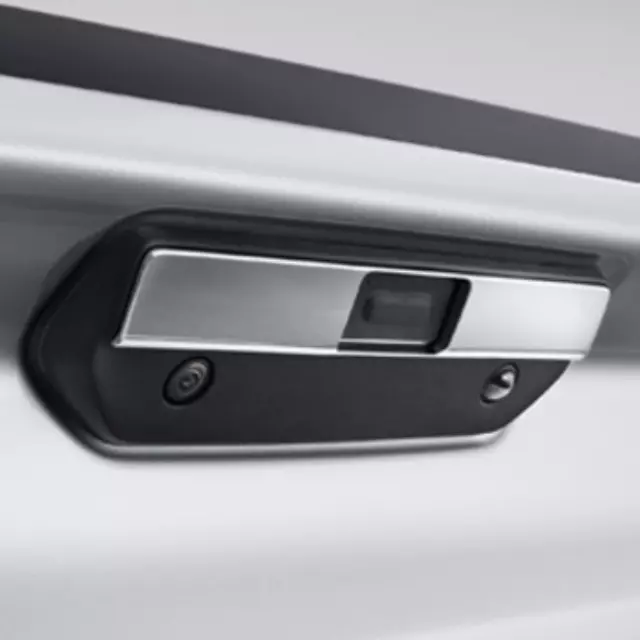 Tailgate Handle - GM (84123317)