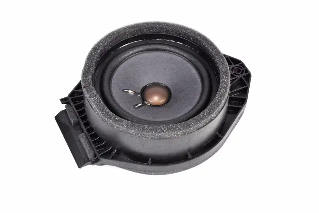 Rear Side Door Speaker - GM (84190241)