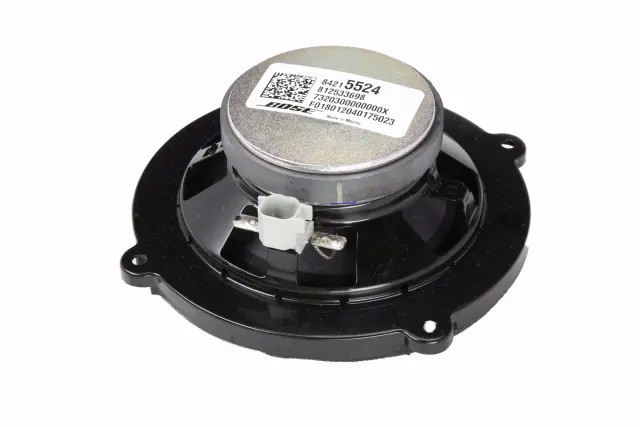 Quarter Panel Radio Speaker - GM (84215524)