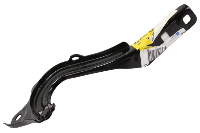 Hinge - Driver's Side (LH) - GM (84304688) - view 3