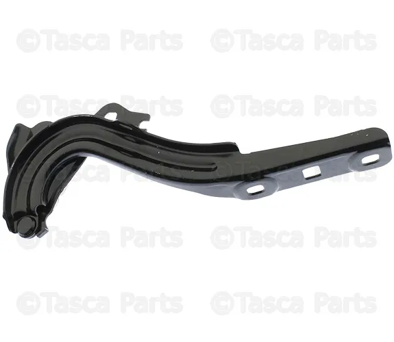 Hinge - Driver's Side (LH) - GM (84304688) - view 6