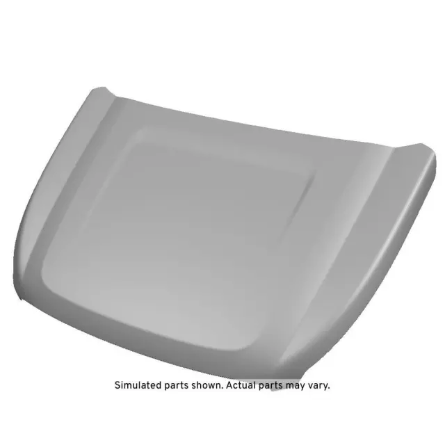 Hood - GM (84348409)