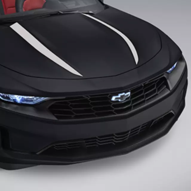 Exterior Trim, Hood Spider Stripe - GM (84356658)