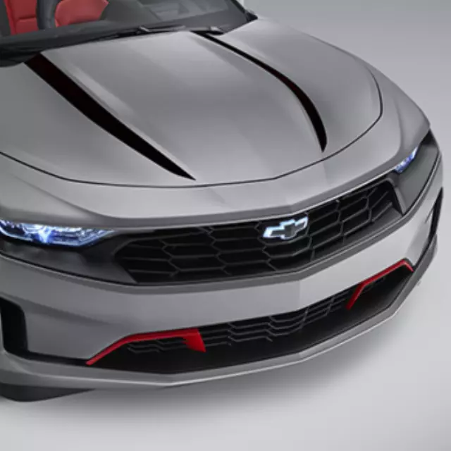 Exterior Trim, Hood Spider Stripe - GM (84356661)
