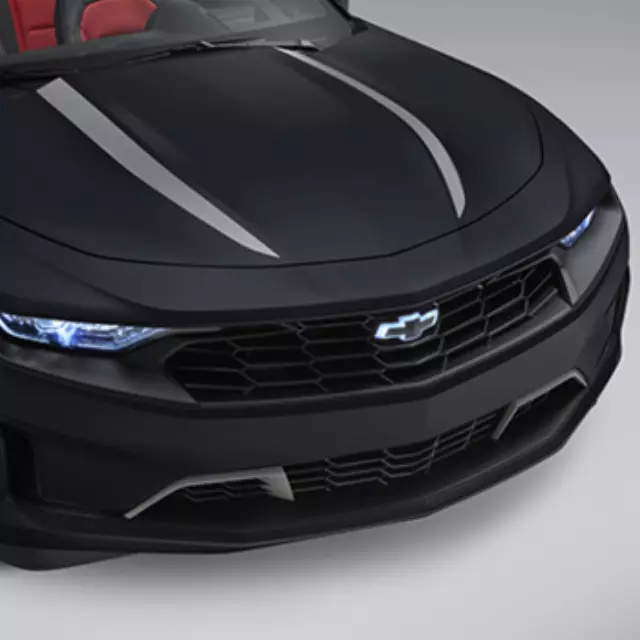 Exterior Trim, Hood Spider Stripe - GM (84356662)
