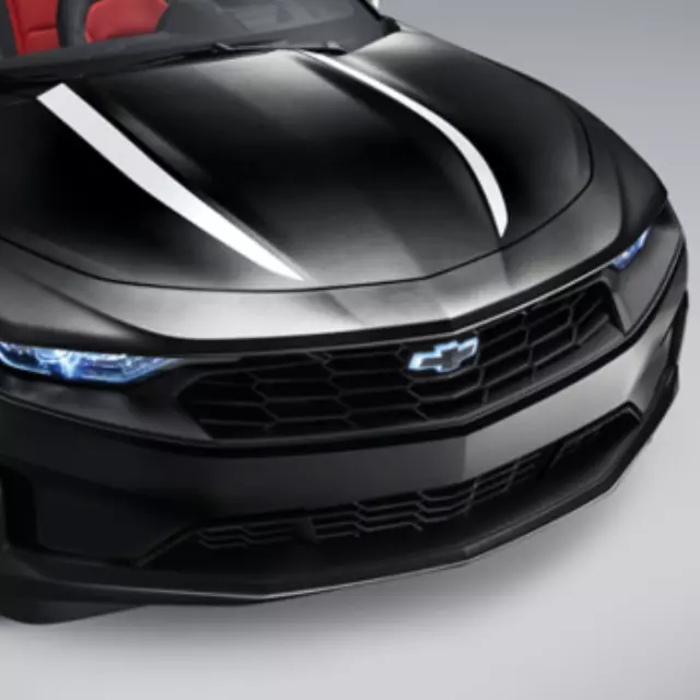 Exterior Trim, Hood Spider Stripe - GM (84356663)