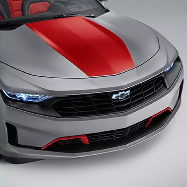 Exterior Trim, Hood Stinger Stripe - GM (84356665)