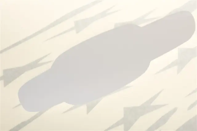 Front Decal - GM (84377425) - view 8