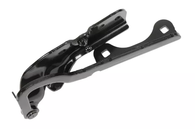 Hinge - Driver's Side (LH) - GM (84405979)