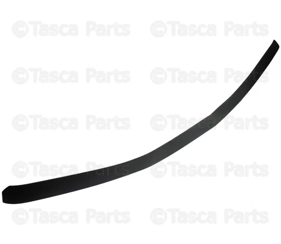 Deflector - GM (84650167)