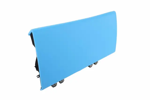Door - GM (84698010)