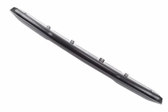 Molding - GM (84737840)