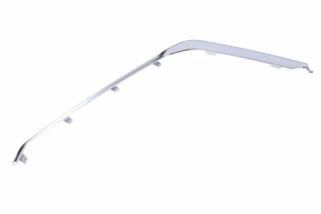 Outer Molding - GM (84801174)