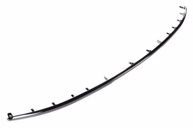 Molding - GM (84820399)