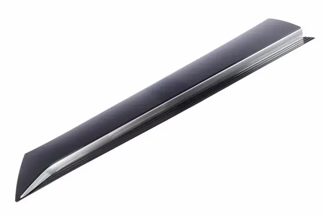 Lower Molding - GM (84828708)