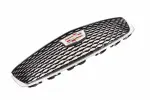 Grille Assembly - GM (84934964) - view 5