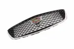 Grille Assembly - GM (84934970) - view 5