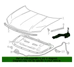 Hinge - GM (85137002) - view 7