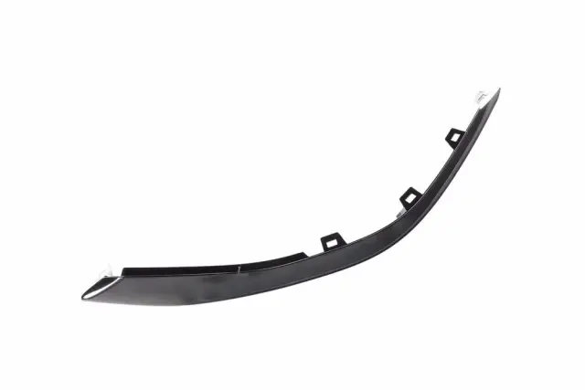 Molding - GM (85511062)