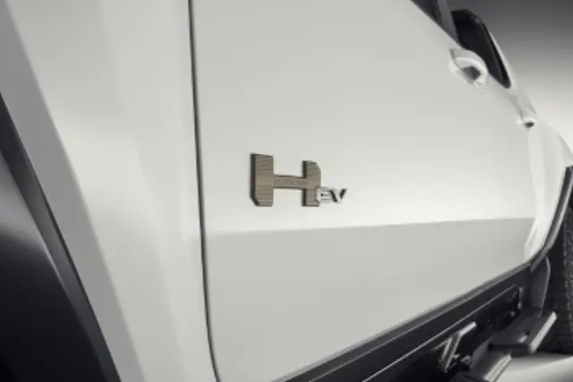 Emblem Pkg - GM (85513234)