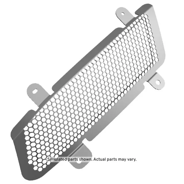 Outer Grille - GM (85516084) - view 2