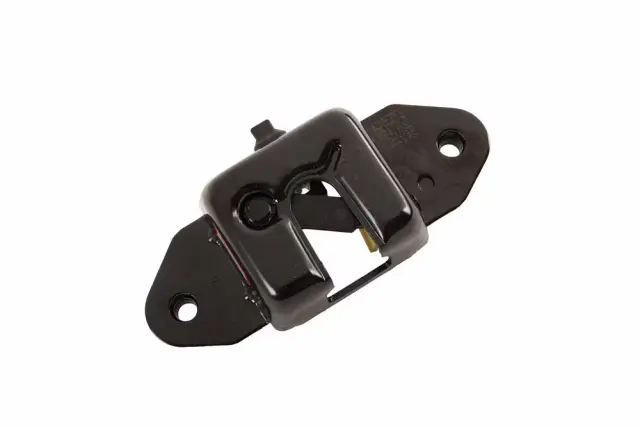 Driver Side Pickup Box Tailgate Latch - GM (85530784)