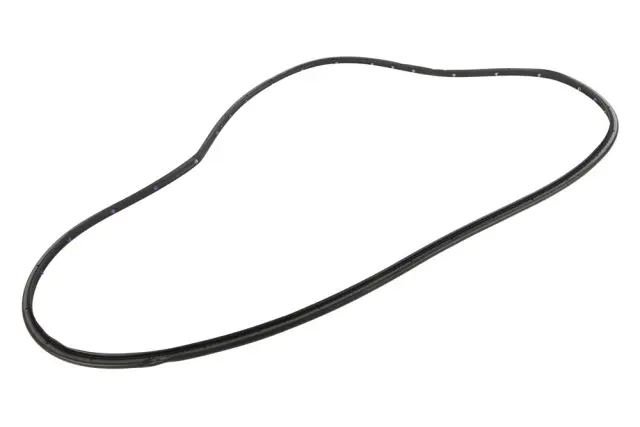 Door Weather-Strip - GM (85538352)