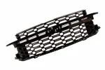 Grille Assembly - GM (85617308) - view 7