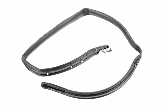 Weatherstrip - GM (85646619)