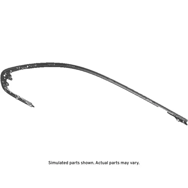Molding - GM (85751520)