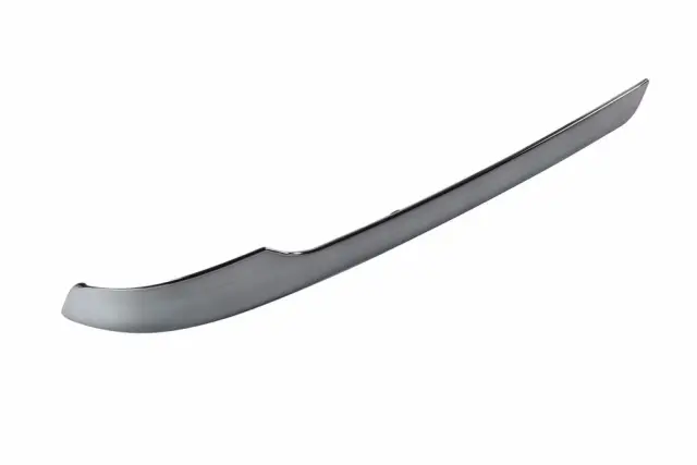 Molding - GM (85758522) - view 4