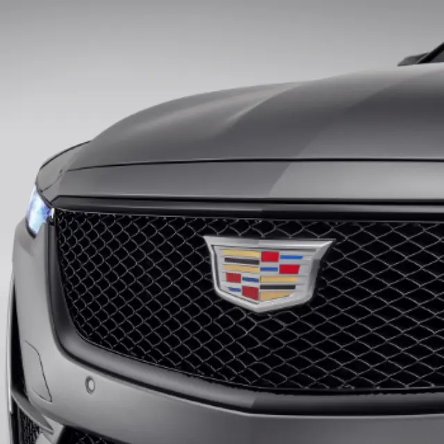 Grille - GM (87830346) - view 2