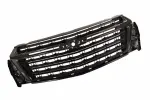 Grille Assembly - GM (87834501) - view 7
