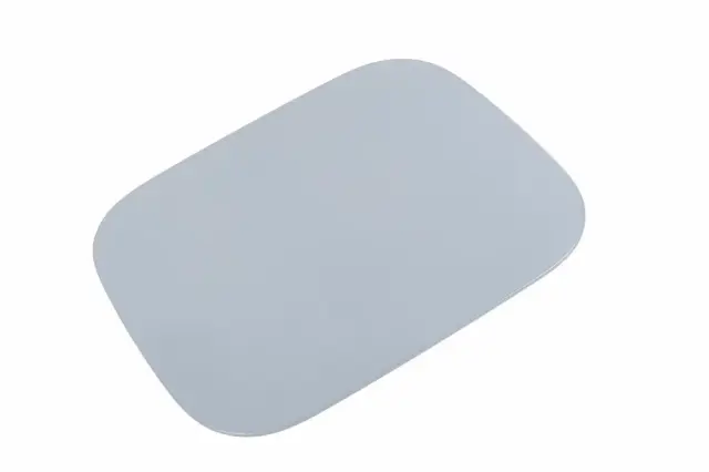 Door - GM (87862550)