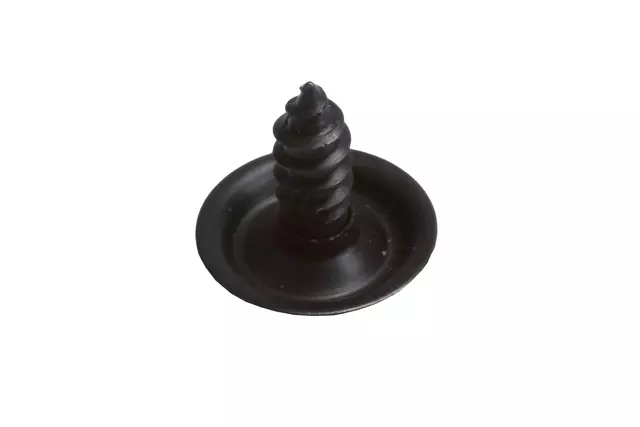 Folding Top Headliner Trim Panel Bolt - GM (89022657)