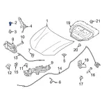 Hood Stop Buffer - Ford (8v4z16758c) - view 13
