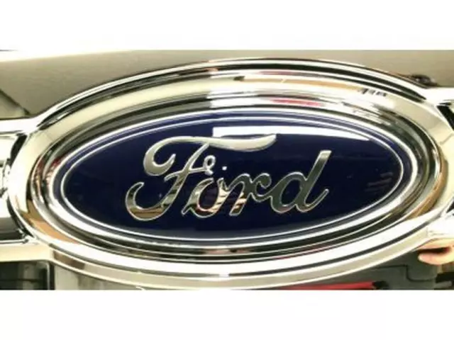 Grille - Ford (9C2Z-8200-AA) - view 14
