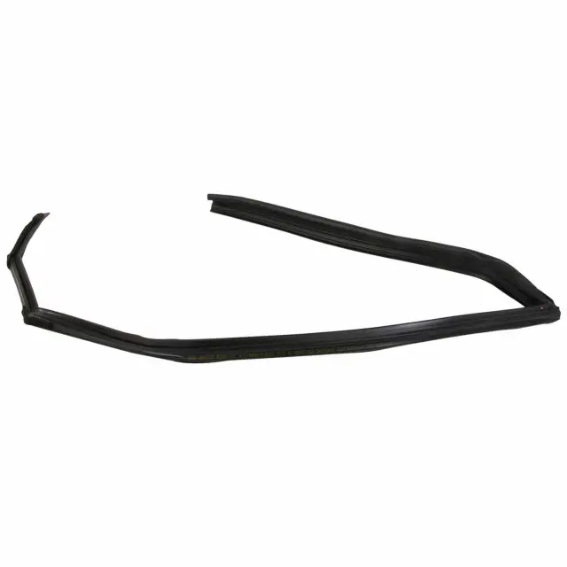 Run Assembly - Glass - Passenger Side (RH) - Ford (AE8Z-5825766-F)